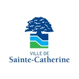 VSC_LOGO_VERTI_COULEUR_CARRÉ_pourRS